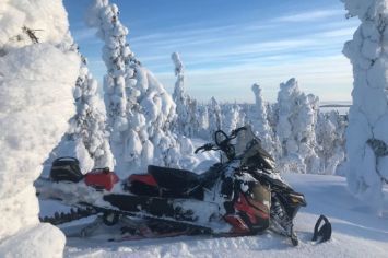 Снегоходный тур по национальному парку "Паанаярви" 3 дня в Заполярье