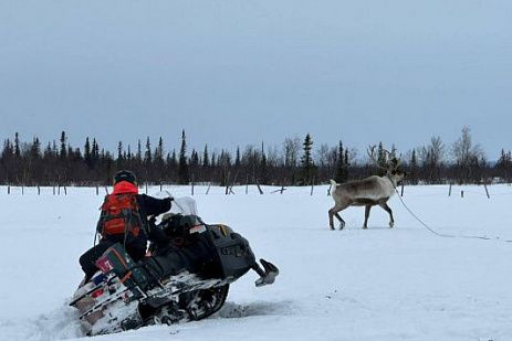 Экспедиция на снегоходах 5 дней